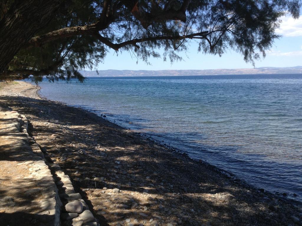 Rooms To Let To Kyma Skala Sikamineas Skala Sykamineas 部屋 写真